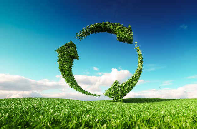 Sustainability